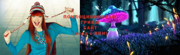 альфа пвп Горнозаводск