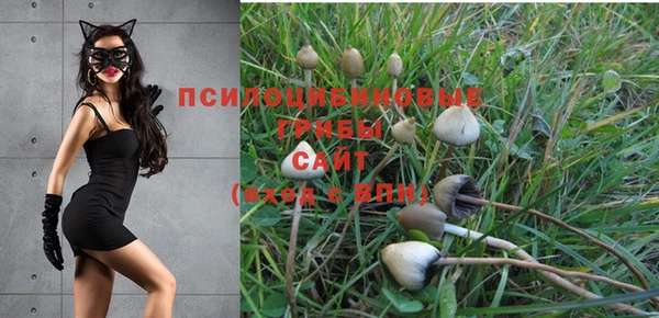 Альфа ПВП Горняк