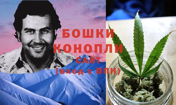 дурь Горно-Алтайск