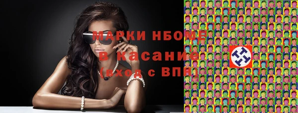 Альфа ПВП Горняк