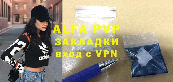 Альфа ПВП Горняк